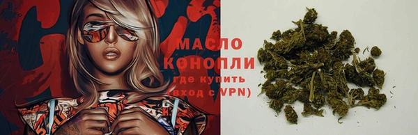 индика Краснослободск