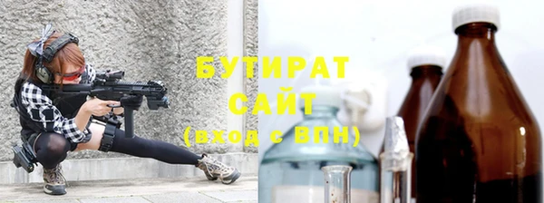 индика Краснослободск