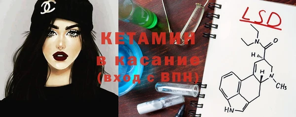 индика Краснослободск