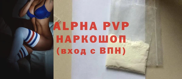 индика Краснослободск