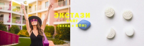 индика Краснослободск