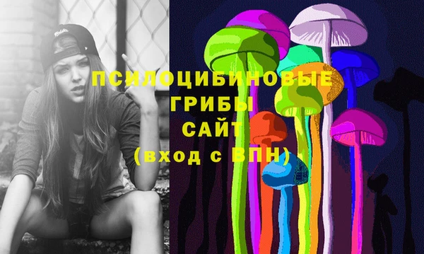 индика Краснослободск