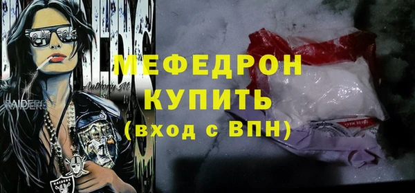 индика Краснослободск