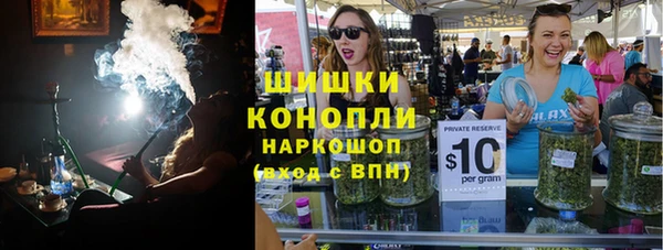индика Краснослободск