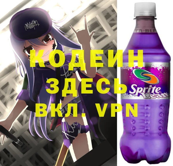 индика Краснослободск