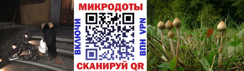 Псилоцибиновые грибы GOLDEN TEACHER  мега зеркало  Малгобек 