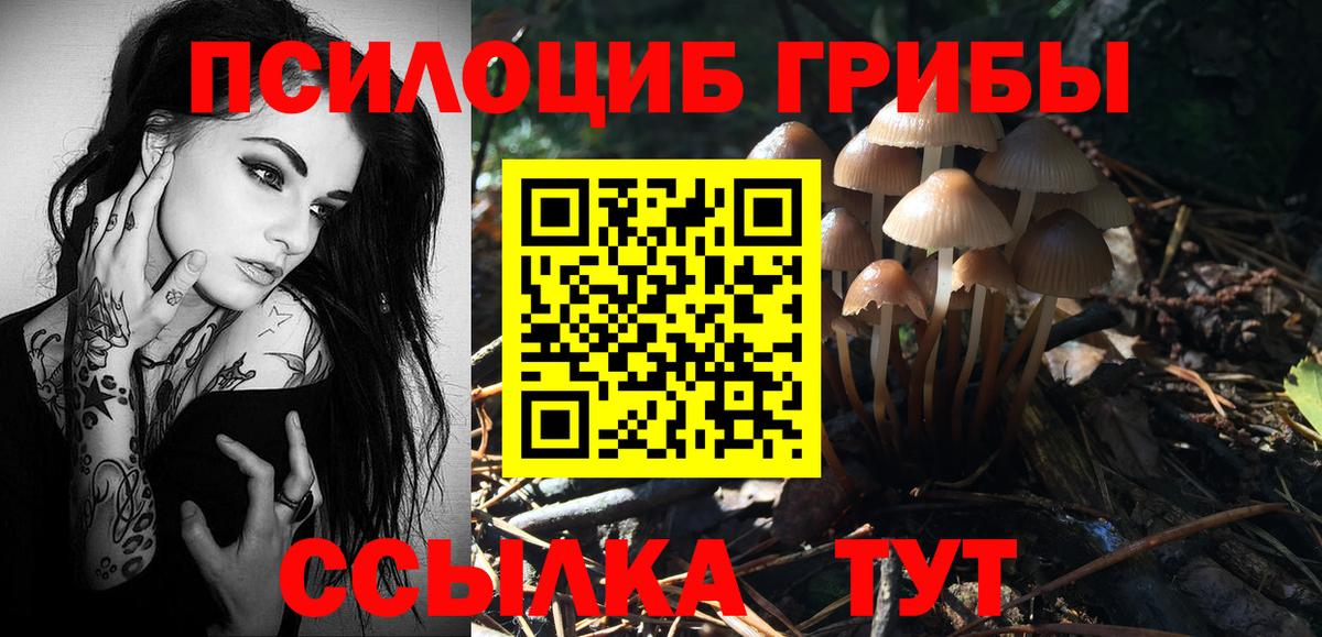 Малгобек  Псилоцибиновые грибы мухоморы  Псилоцибиновые грибы мицелий  Вход с VPN 